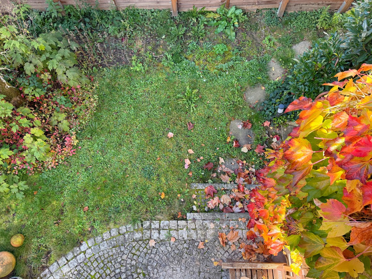 Ausblick vom Balkon in den Garten