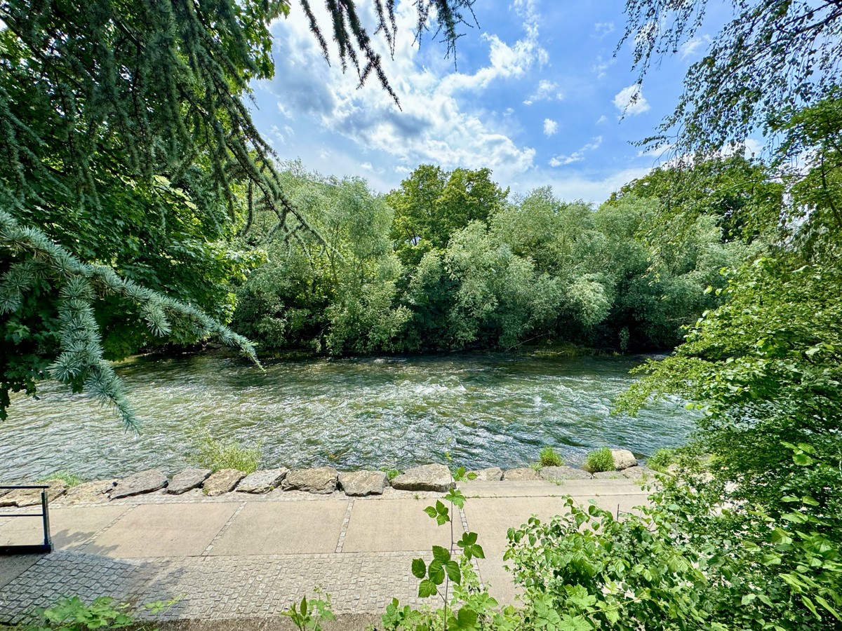 Blick auf den Neckar