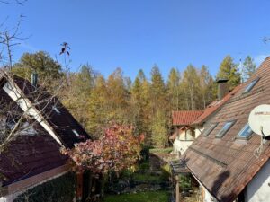 Ausblick vom Balkon